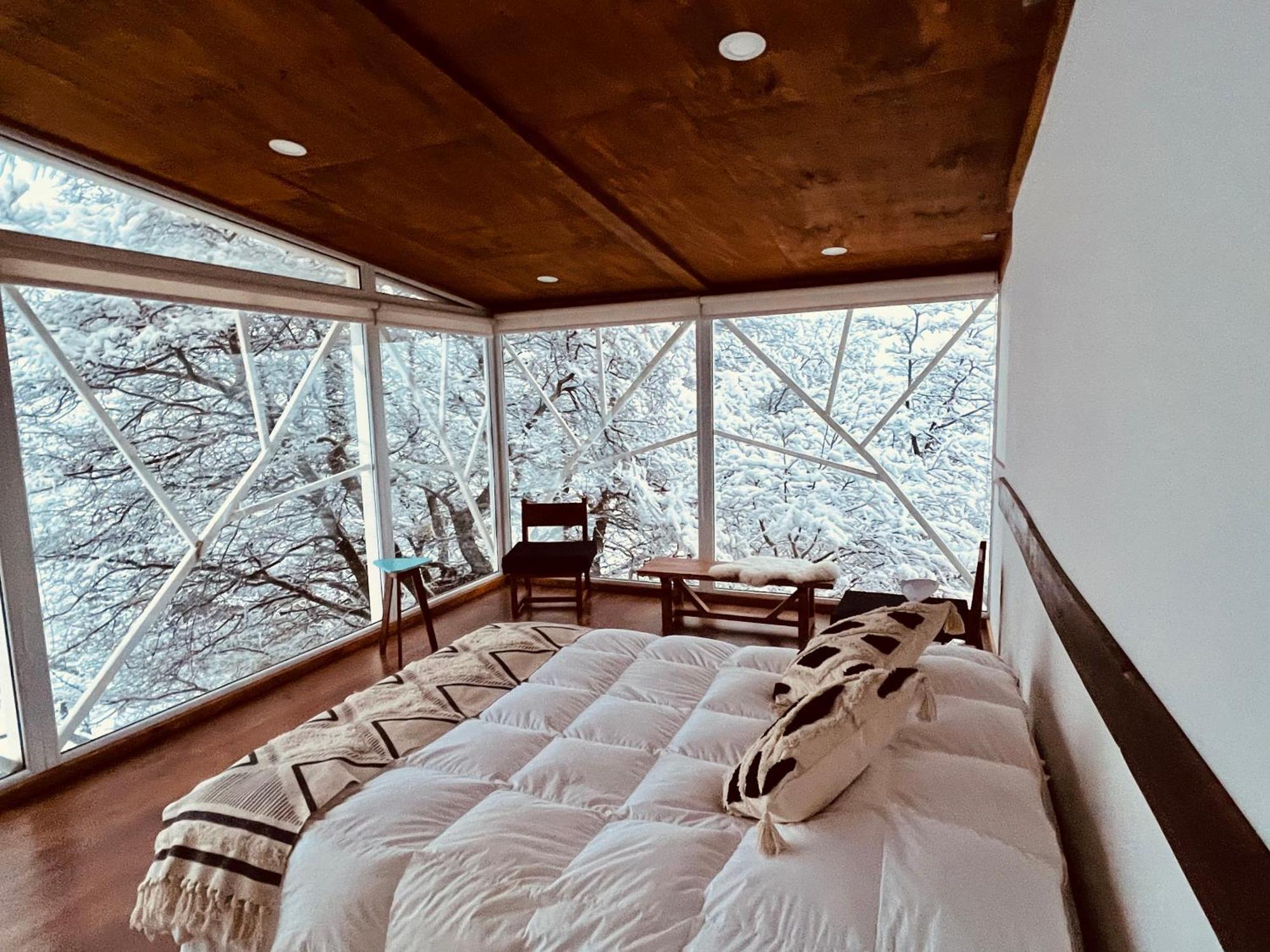 Calafate Patagonia *